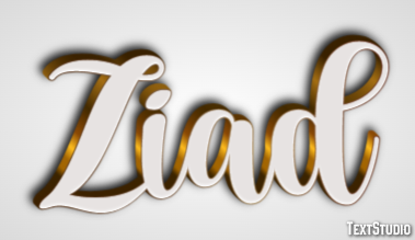 Ziad Effet de Texte