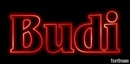 Budi Text effect