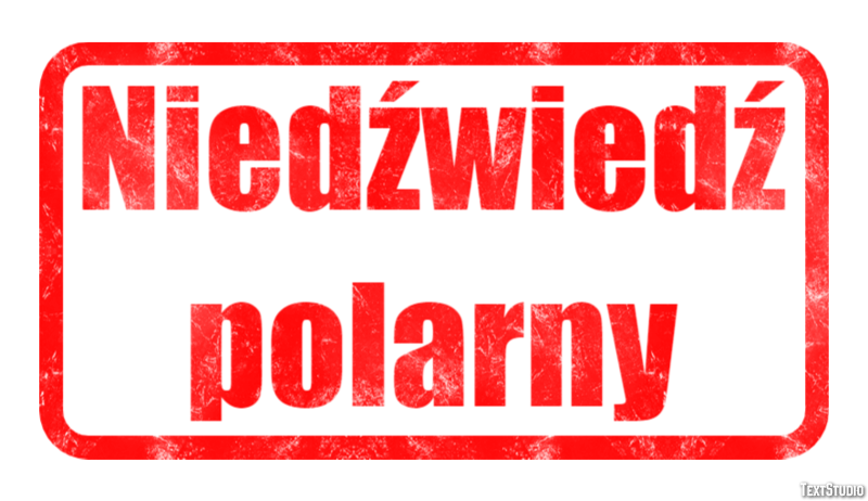 Niedźwiedź polarny Efekt tekstowy