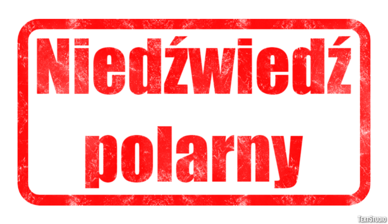 Niedźwiedź polarny Efekt tekstowy