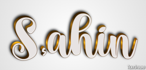 Şahin Effet de Texte