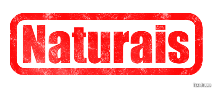 Naturais Efeito do texto