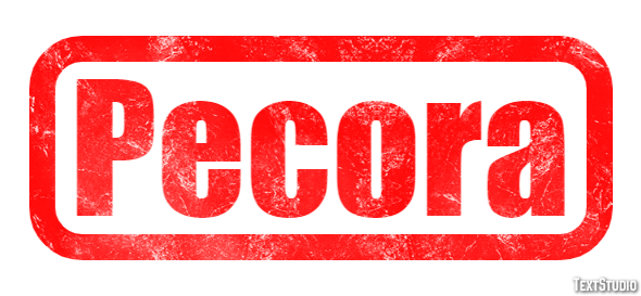 Pecora Effet de texte