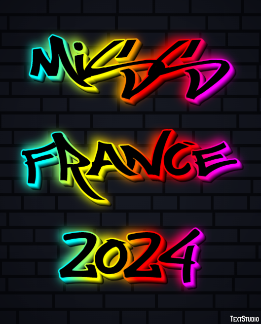Miss France 2024 Tekst effect