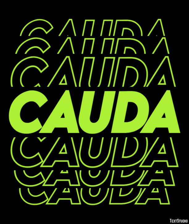 Cauda Efeito do texto