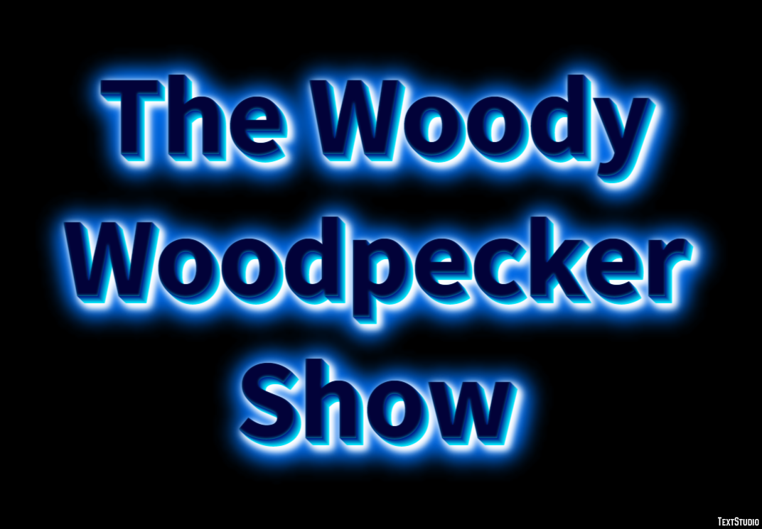 The Woody Woodpecker Show Efekt tekstowy