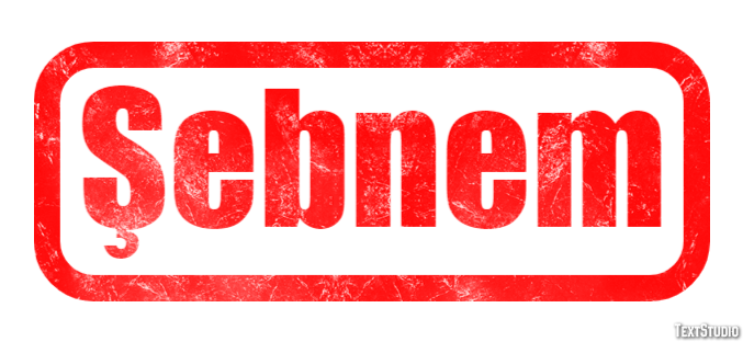 Şebnem Metin efekti