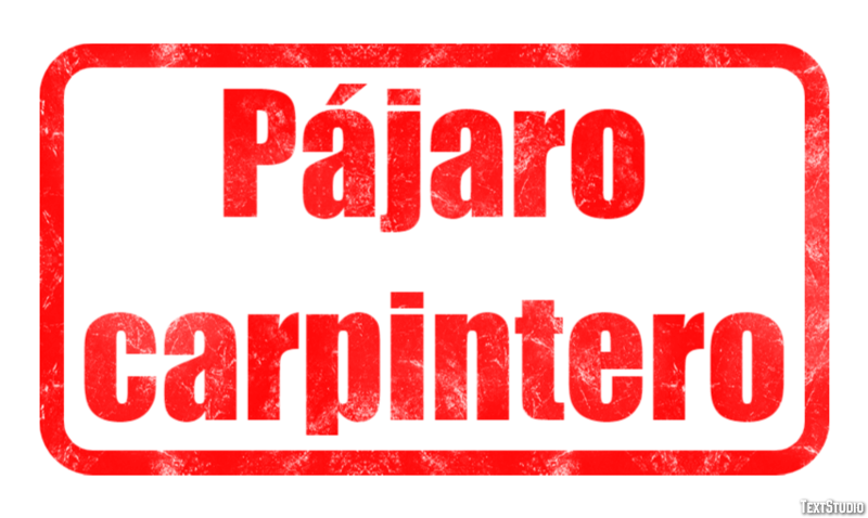 Pájaro carpintero Effetto testo