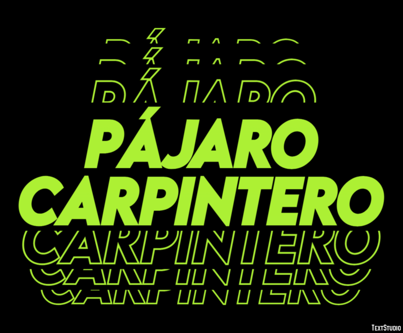 Pájaro carpintero Texteffekt