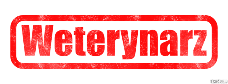 Weterynarz Efekt tekstowy