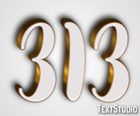 313 Text Effect