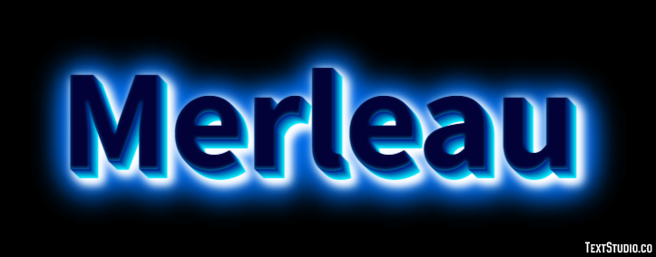 Merleau Effet de Texte