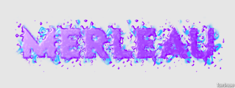 Merleau Effet de Texte