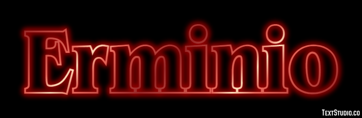 Erminio Effetto testo