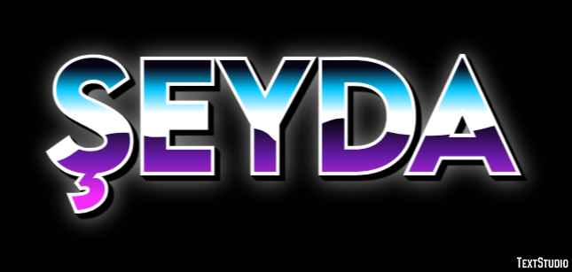 Şeyda Effet de Texte