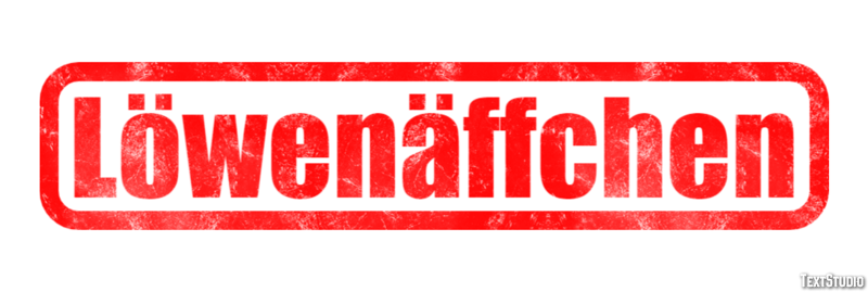 Löwenäffchen Texteffekt