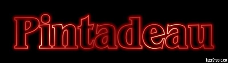 Pintadeau Effet de Texte