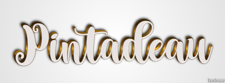 Pintadeau Effet de Texte