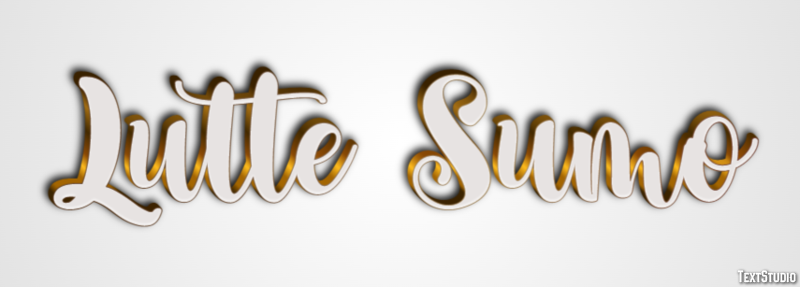 Lutte Sumo Effet de Texte