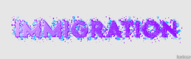 Immigration Text Effect