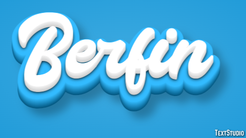 Berfin Metin Efekti