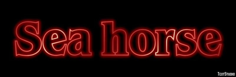 Sea horse Efecto de Texto