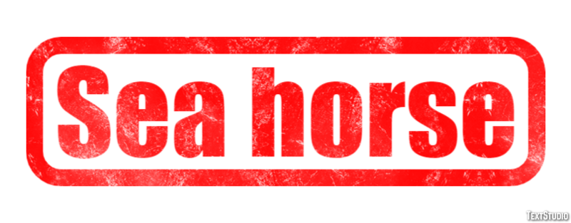 Sea horse Efecto de Texto