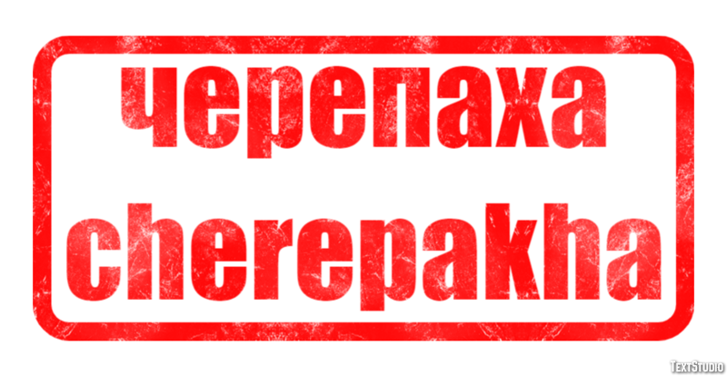 черепаха cherepakha Эффект текста