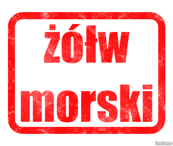 żółw morski Efekt tekstowy