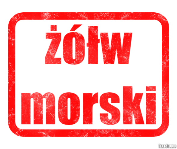 żółw morski Efekt tekstowy