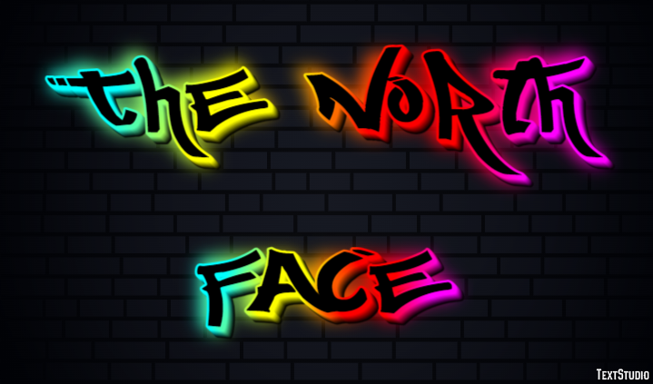 The North Face Effet de Texte