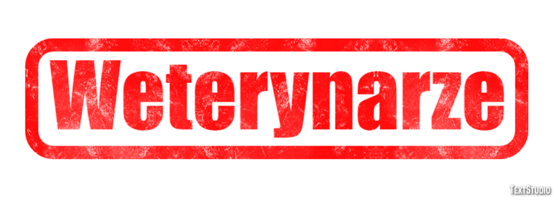 Weterynarze Efekt tekstowy