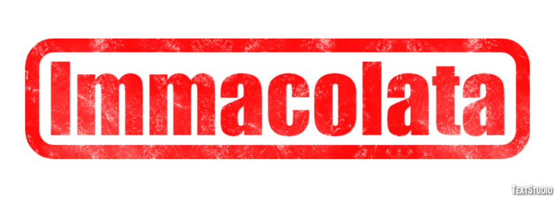 Immacolata Efekt tekstowy