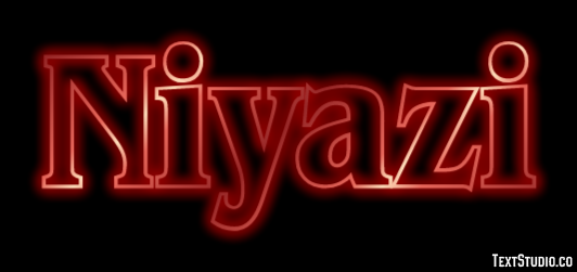 Niyazi Metin Efekti