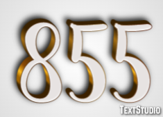 855 Text Effect