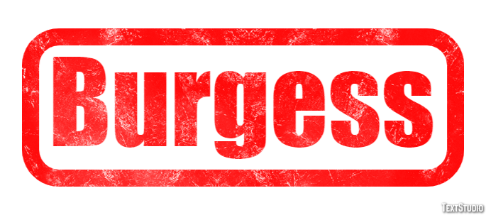 Burgess Metin Efekti