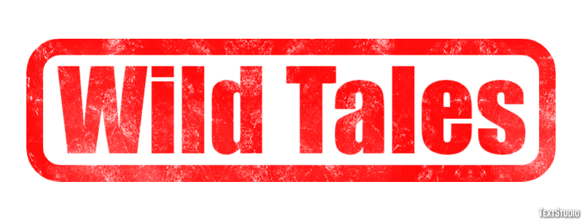 Wild Tales Text effect