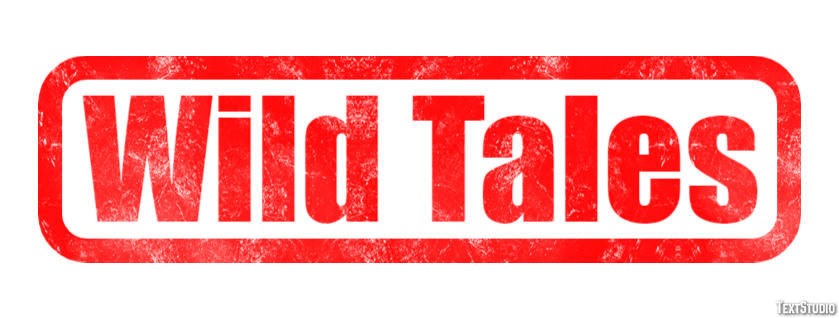 Wild Tales Text Effect