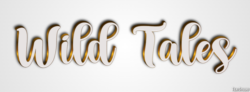 Wild Tales Text Effect