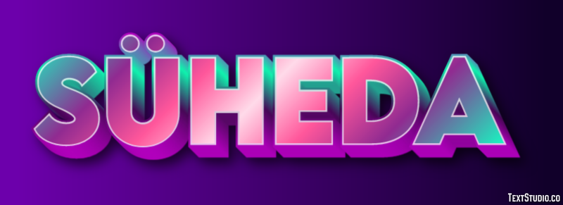 Süheda Effet de Texte