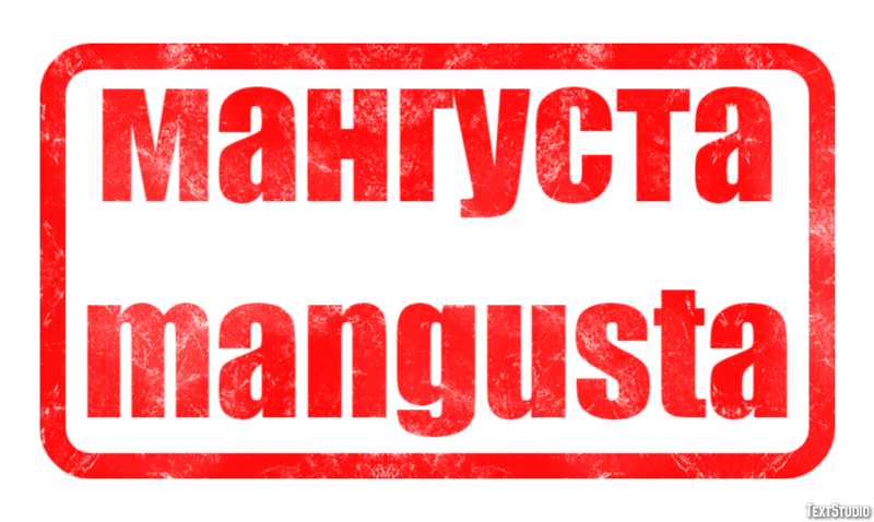 мангуста mangusta Текстовый эффект