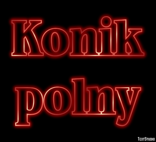 Konik polny Efekt tekstowy