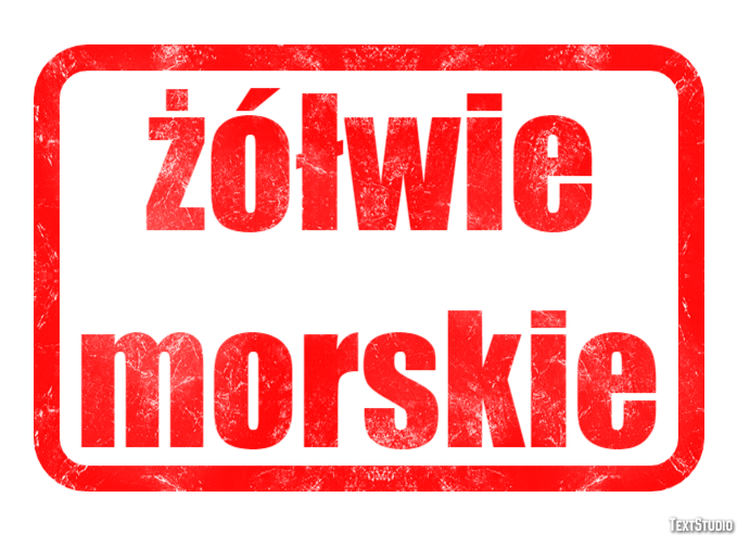 żółwie morskie Efekt tekstowy
