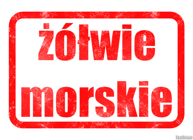 żółwie morskie Efekt tekstowy