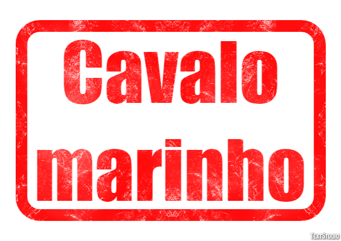 Cavalo marinho Efeito do texto