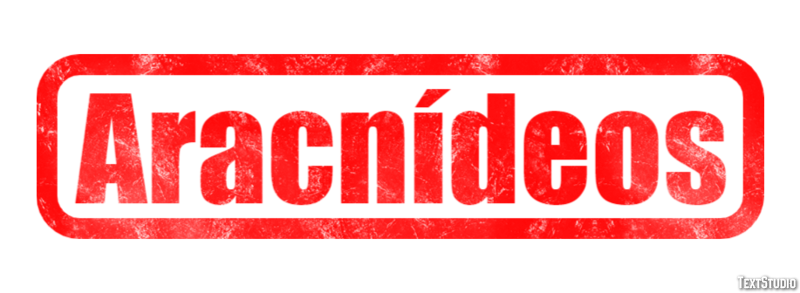 Aracnídeos Effetto testo
