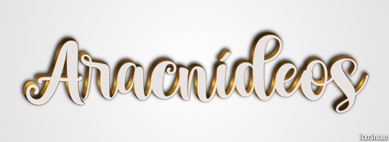 Aracnídeos Effetto testo