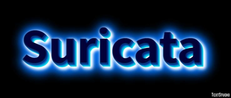 Suricata Texteffekt