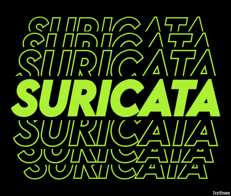 Suricata Texteffekt