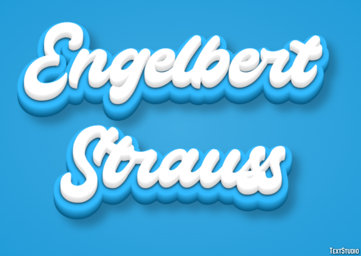 Engelbert Strauss Effet de Texte